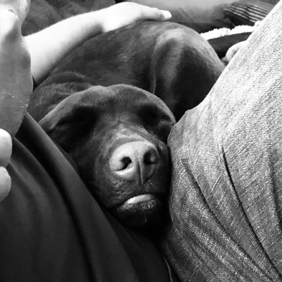 Meet your Posher, Ashley - Picture 1 of 1